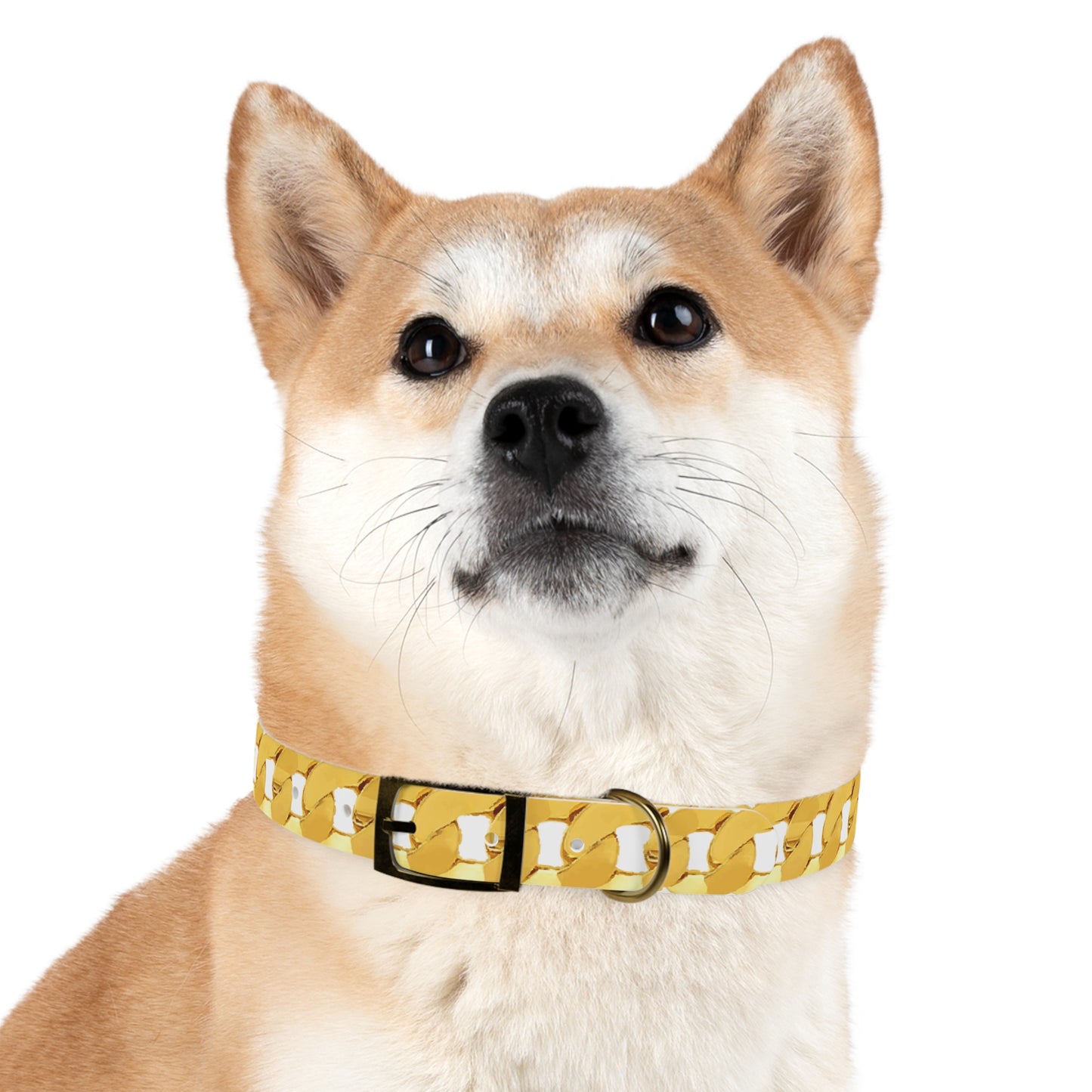Cuban Link Gold Chain Dog Collar