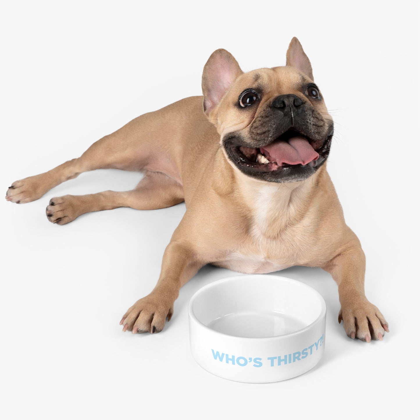 Who's Thirsty?! 16oz. Pet Bowl