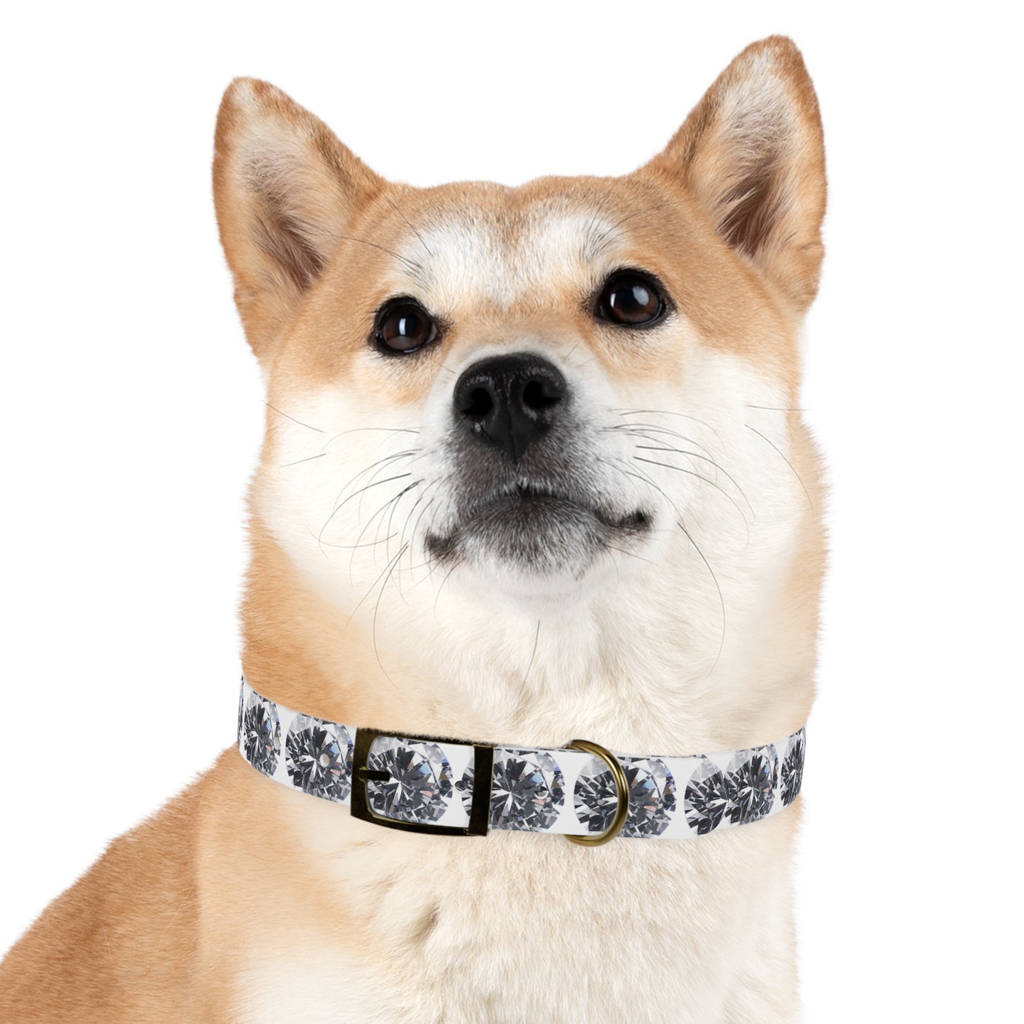Diamond Dog Collar
