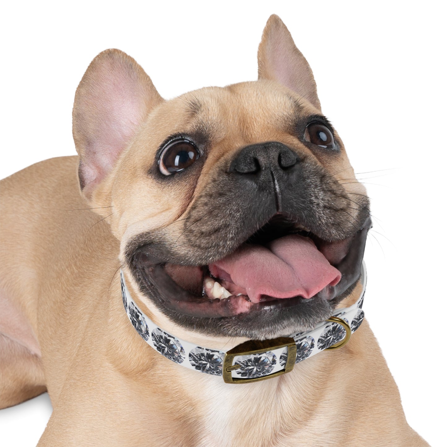 Diamond Dog Collar