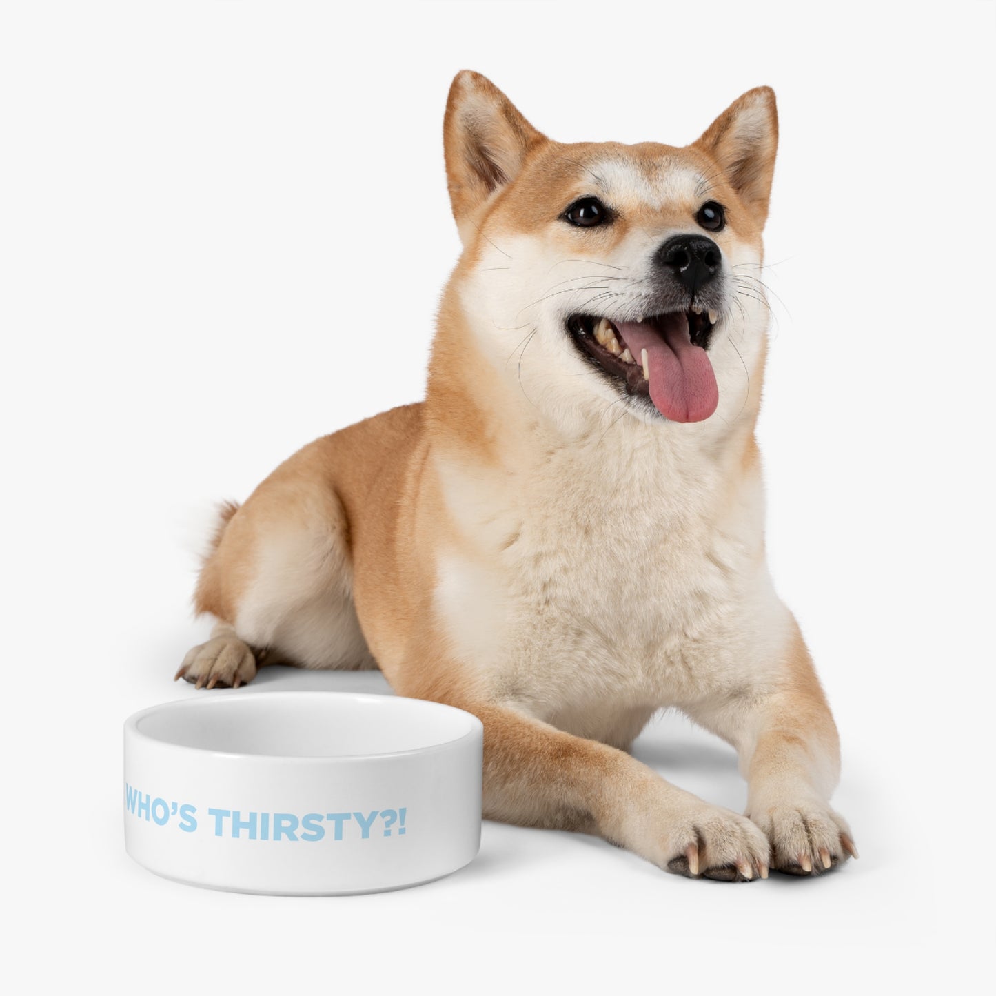 Who's Thirsty?! 16oz. Pet Bowl